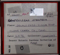 Image Associated With the Occurence